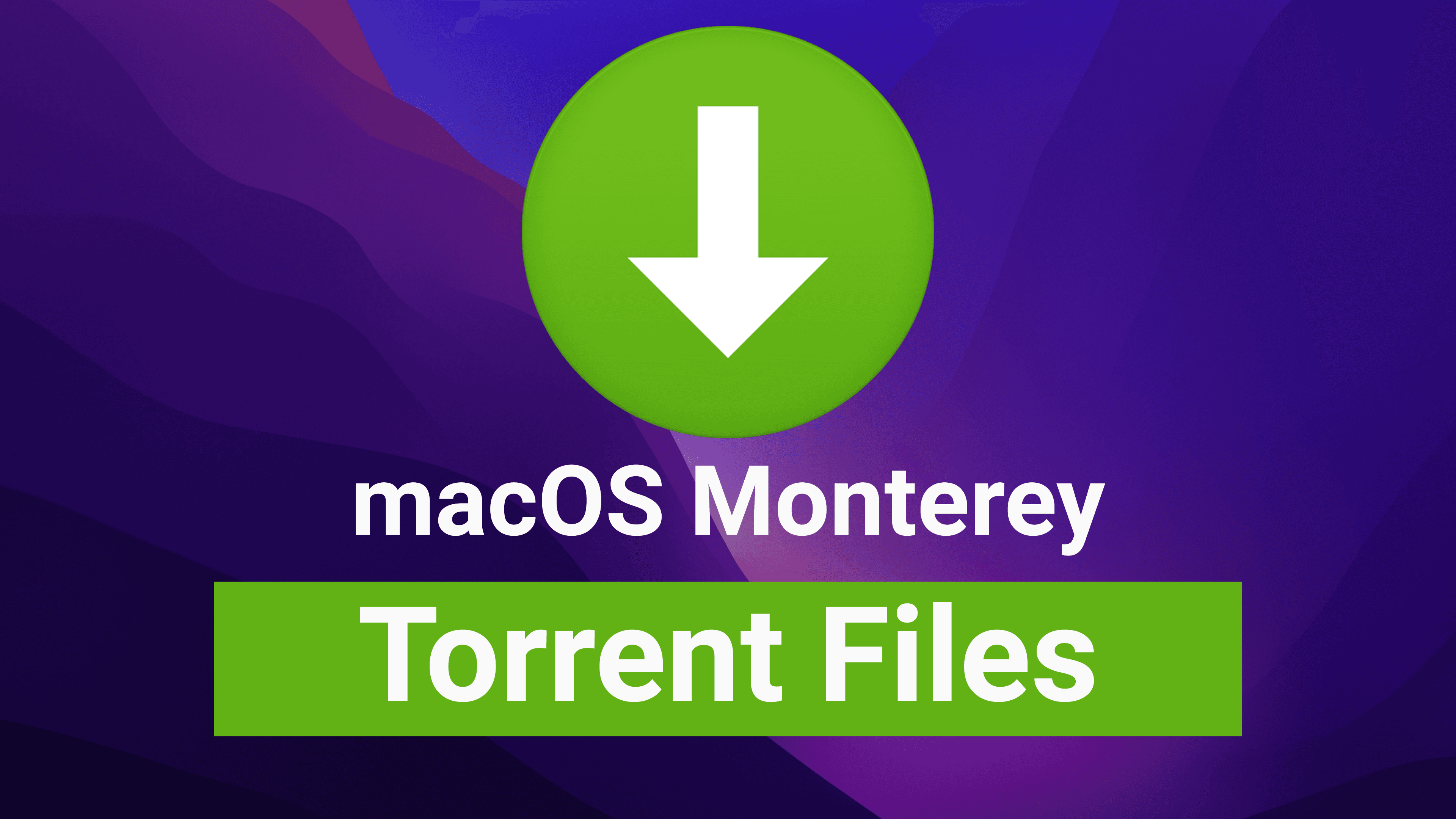 Download macOS Monterey Torrent Files – Latest Version