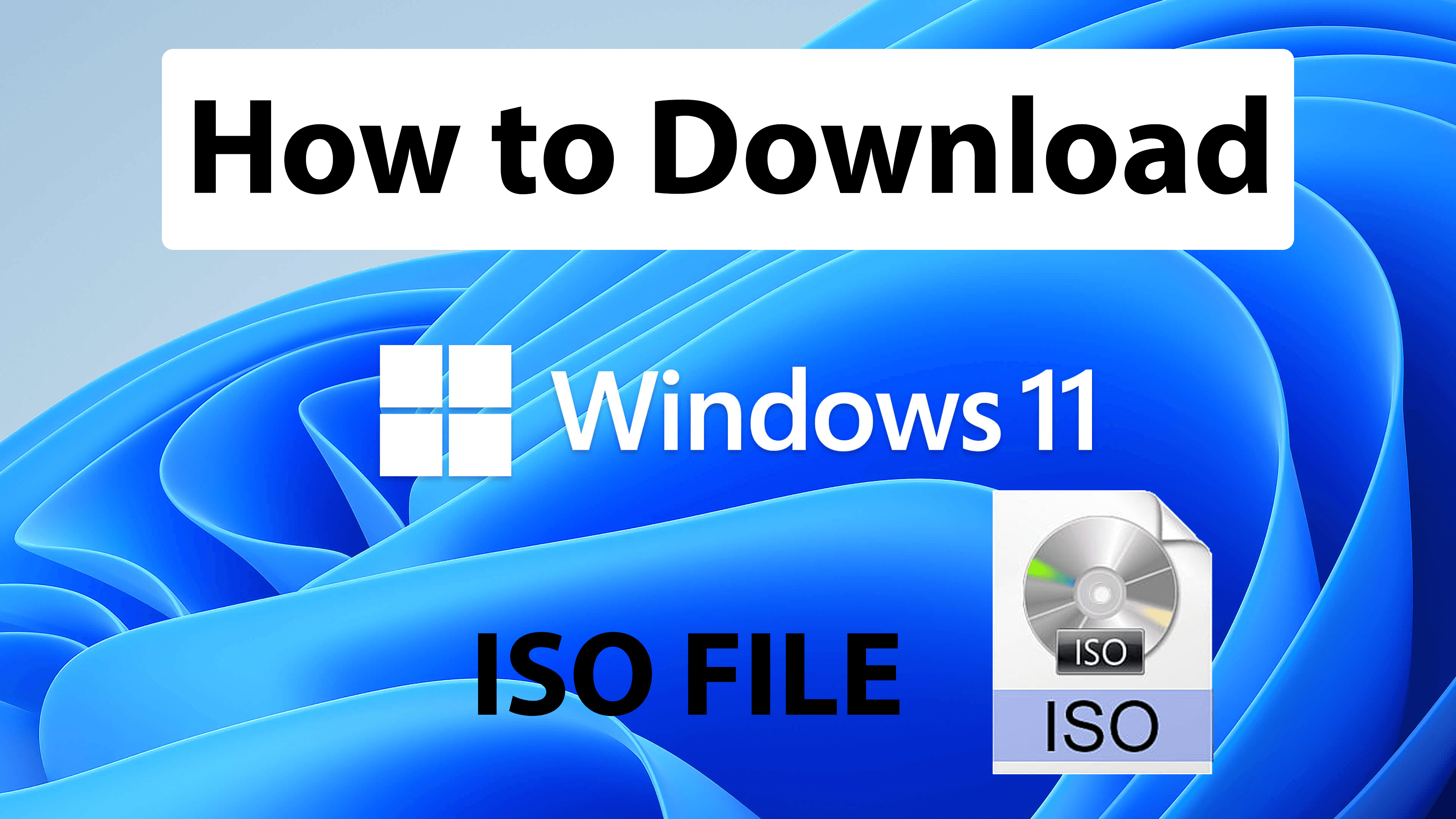 How to Download Windows 11 ISO (32, 64 Bit) from Microsoft?