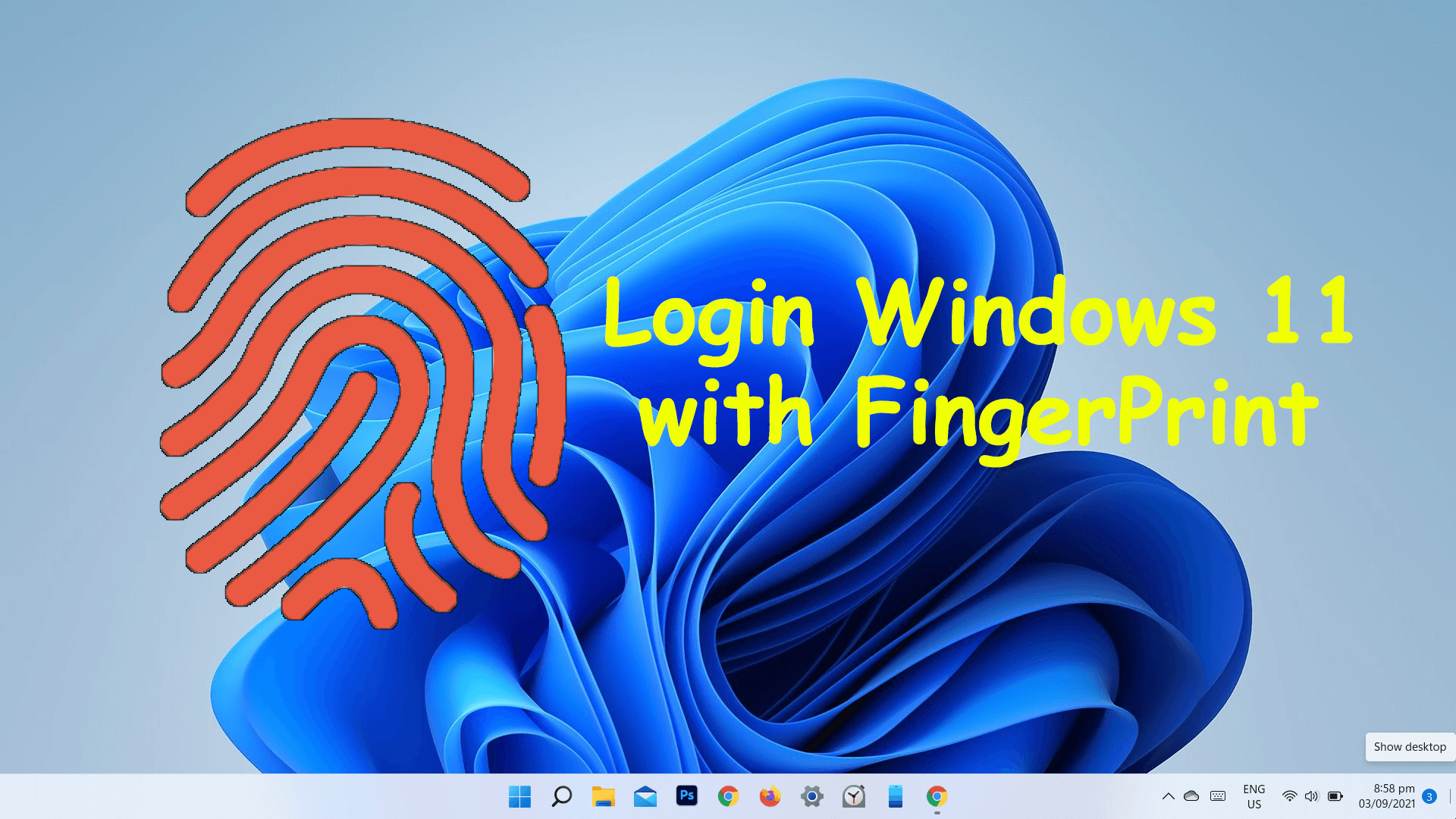 How to Login to Windows 11 With Fingerprint?