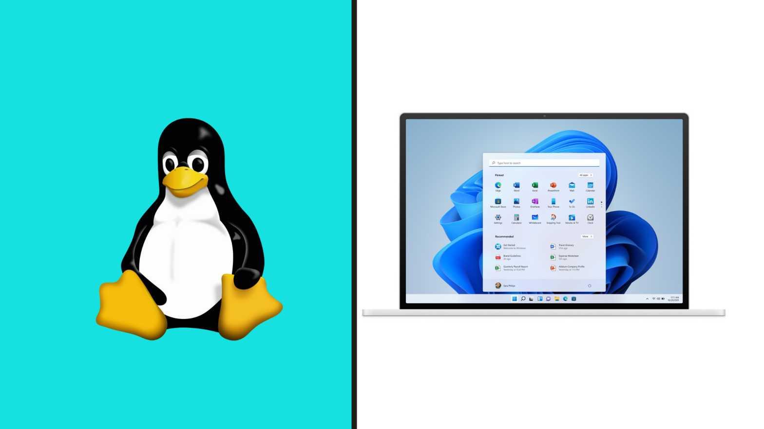 How to Install Linux Mint in Windows 11