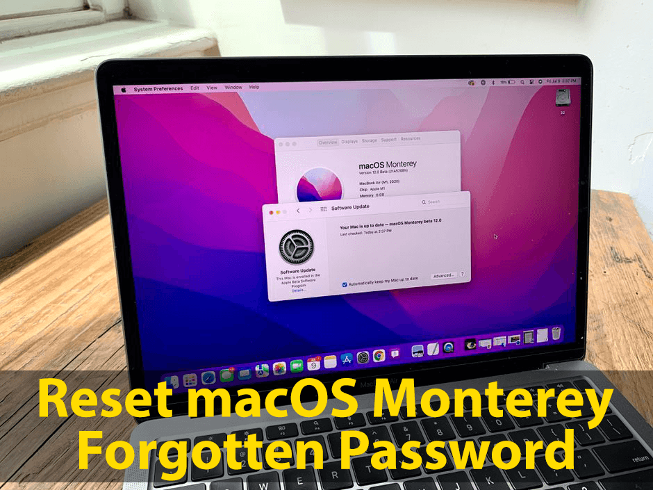 How to Reset macOS Monterey Forgotten Password?
