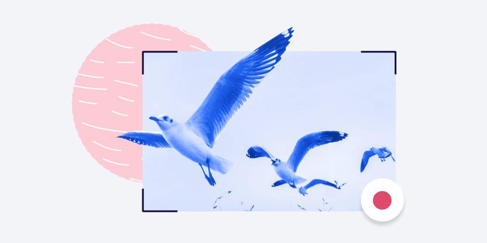 The Best Screen Recording Software for Windows and Mac in 2021
