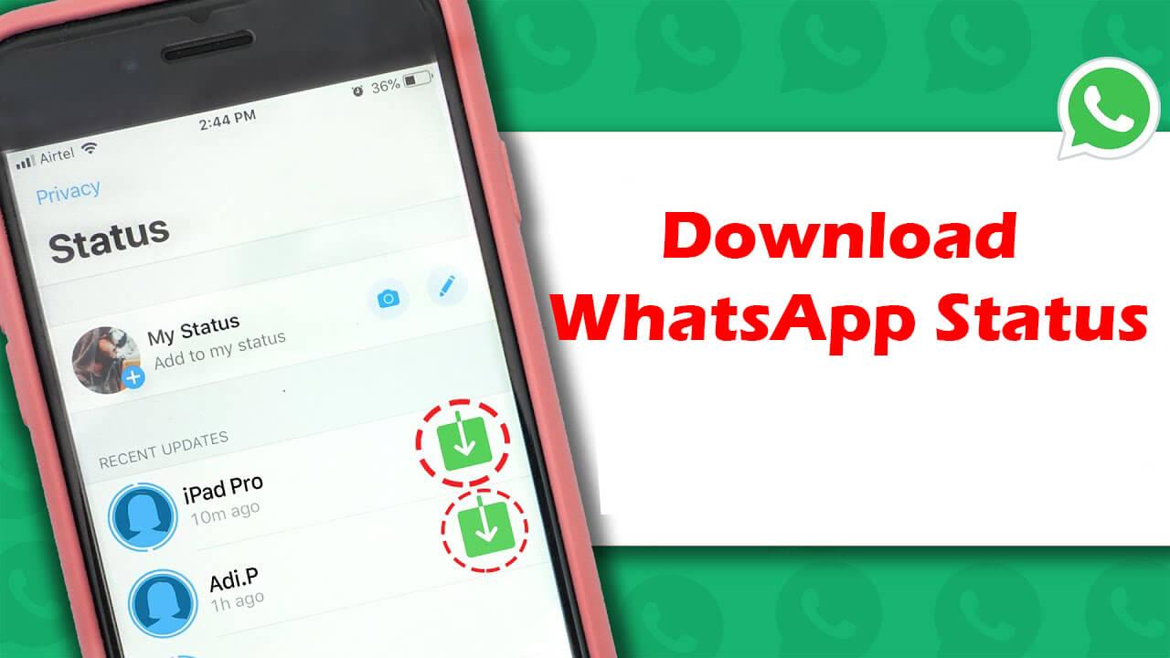 How to Download Someone’s WhatsApp Video Status?